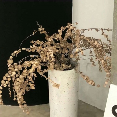 Furry兽设设计干货兽圈群